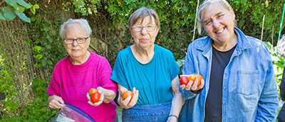 Seniors with tomatoes