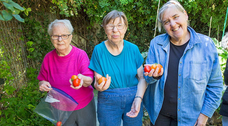 Seniors having fun